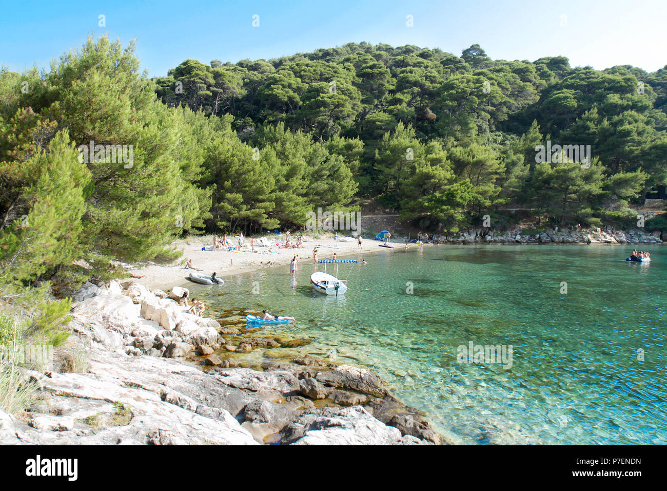 Bellissima isola adriatica spiaggia di sabbia , Saplunara, Isola di Meleda, Croazia. Foto Stock