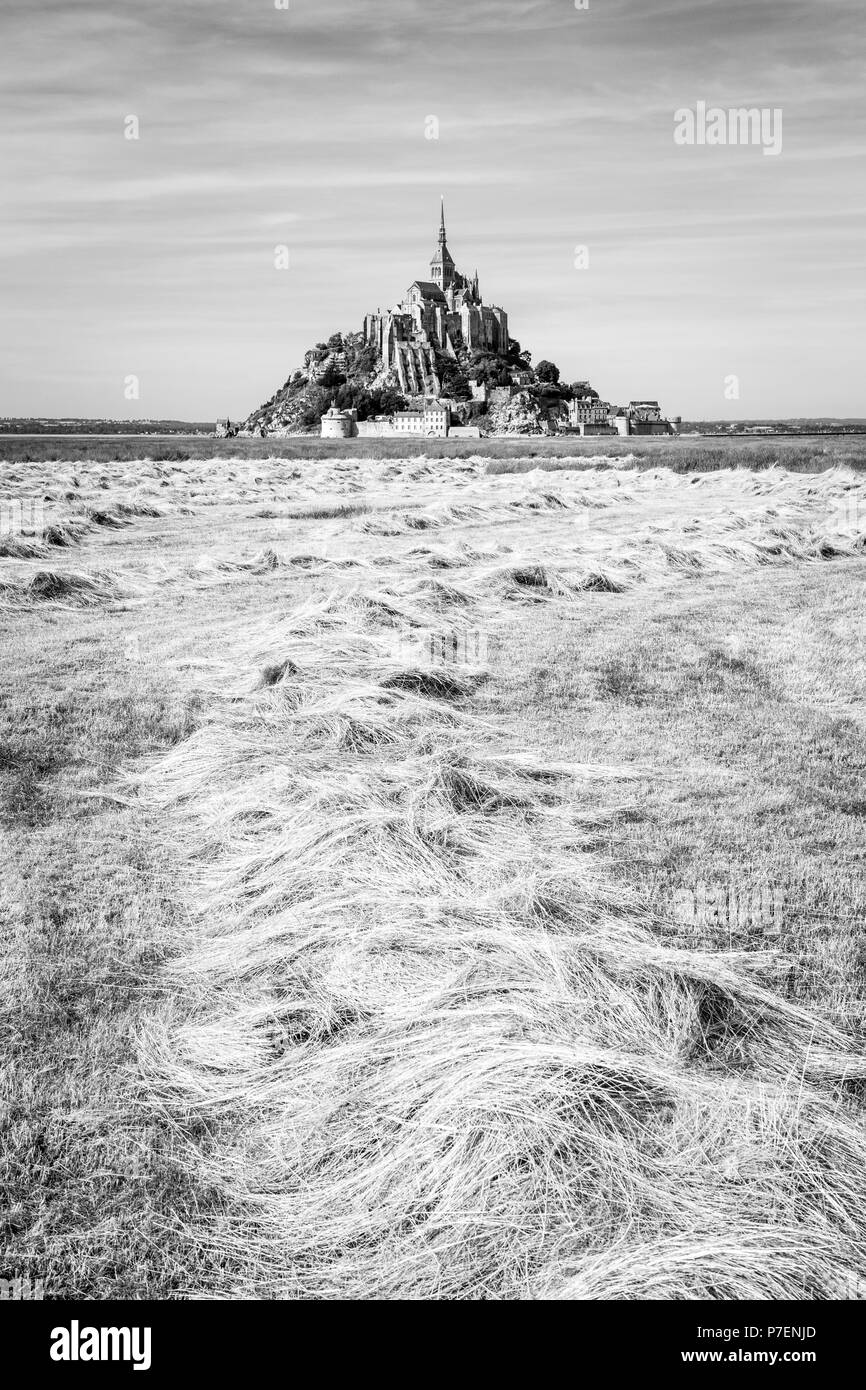 Il Mont Saint Michel isola di marea in Normandia, Francia, con andane di fieno di essiccamento in un campo in primo piano sotto un cielo blu con nuvole fibroso. Foto Stock
