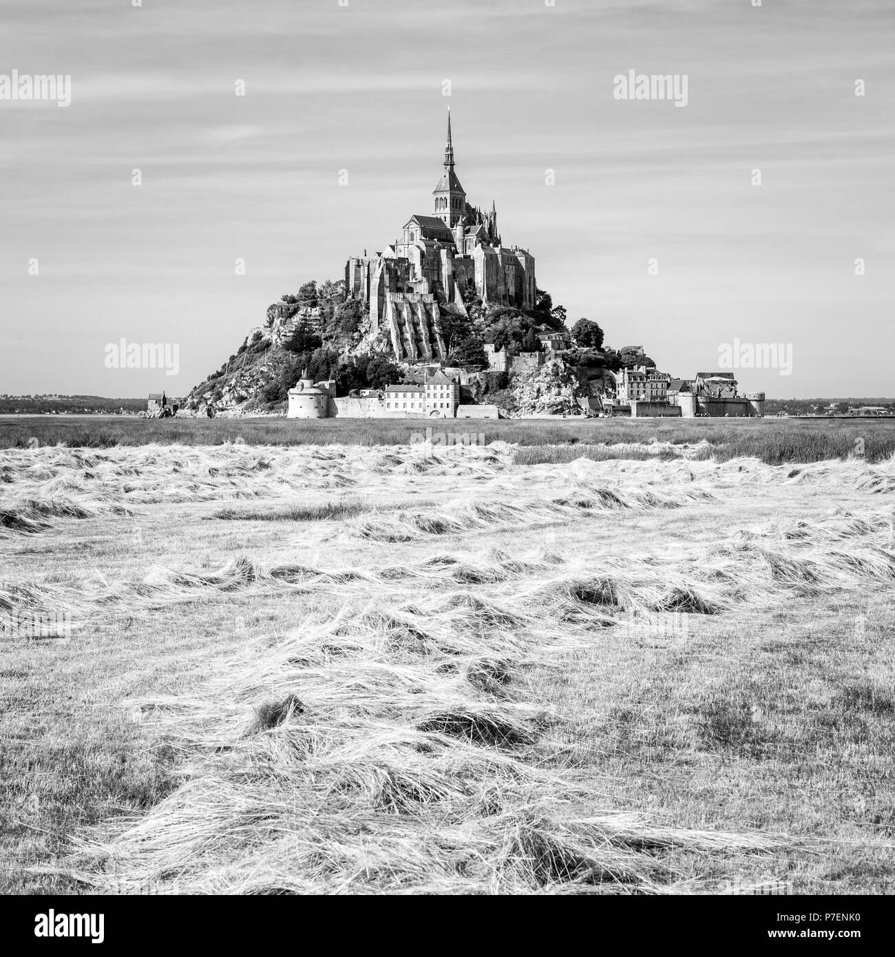Il Mont Saint Michel isola di marea in Normandia, Francia, con andane di fieno di essiccamento in un campo in primo piano sotto un cielo blu con nuvole fibroso. Foto Stock