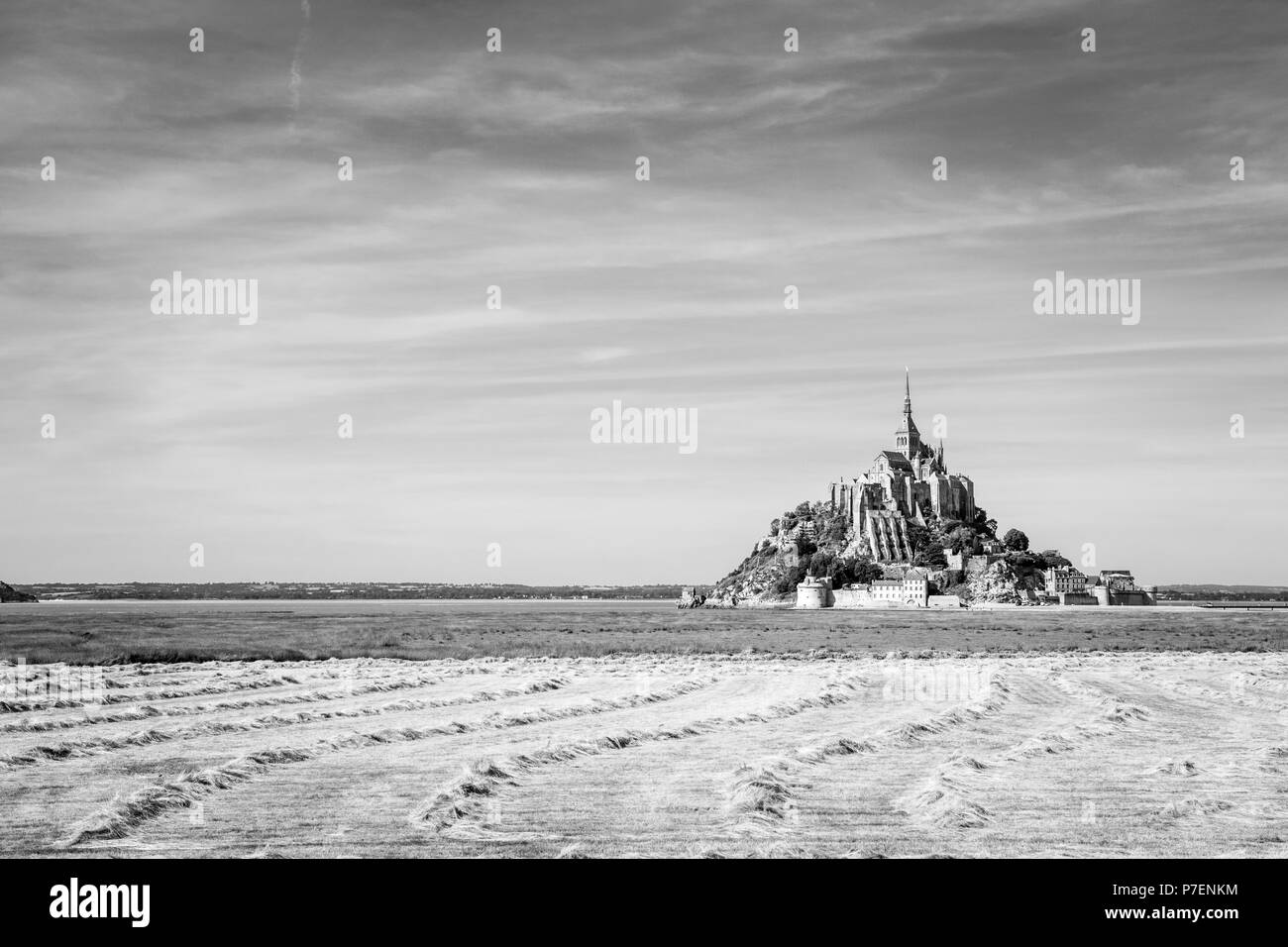 Il Mont Saint Michel isola di marea in Normandia, Francia, con andane di fieno di essiccamento in un campo in primo piano sotto un cielo blu con nuvole fibroso. Foto Stock