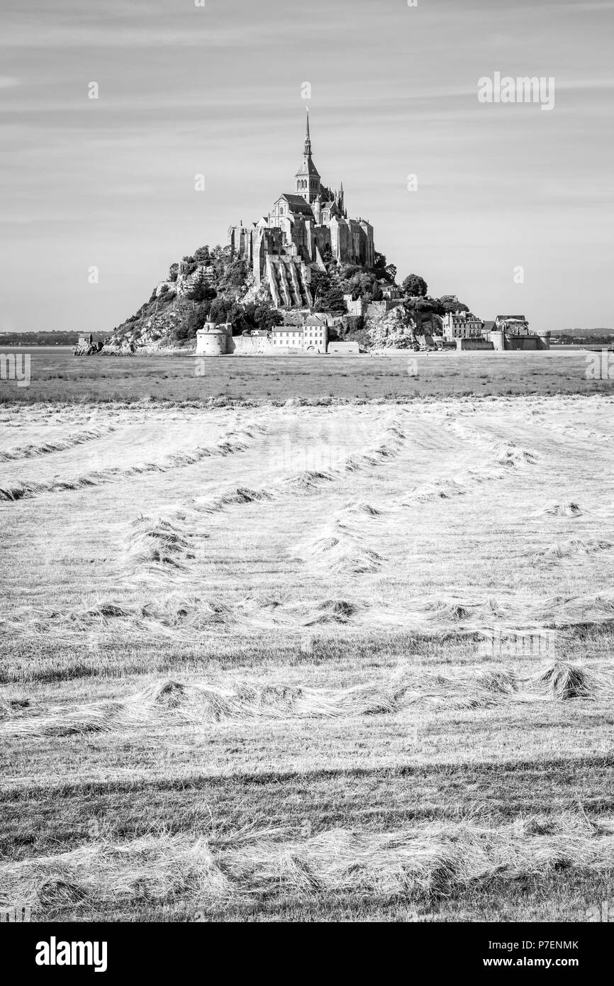 Il Mont Saint Michel isola di marea in Normandia, Francia, con andane di fieno di essiccamento in un campo in primo piano sotto un cielo blu con nuvole fibroso. Foto Stock