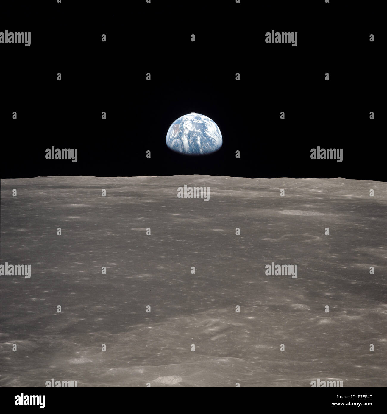 alamy