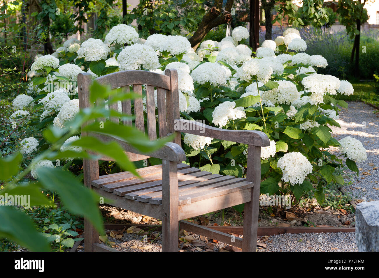 Bordo Per Giardino In Stile Vittoriano – Esschert Design – Ghisa – Dimensioni 30x27/13 Cm