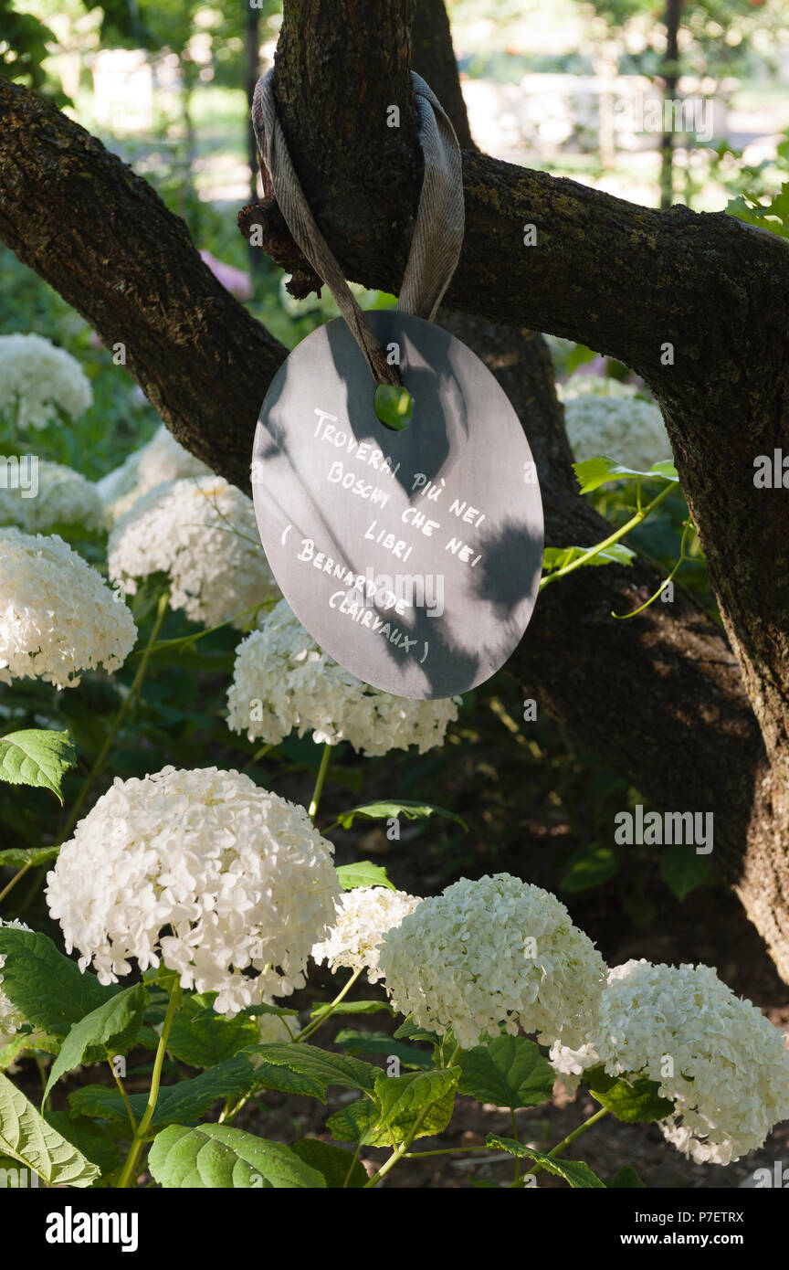 Segno legato ad un albero in giardino Foto Stock