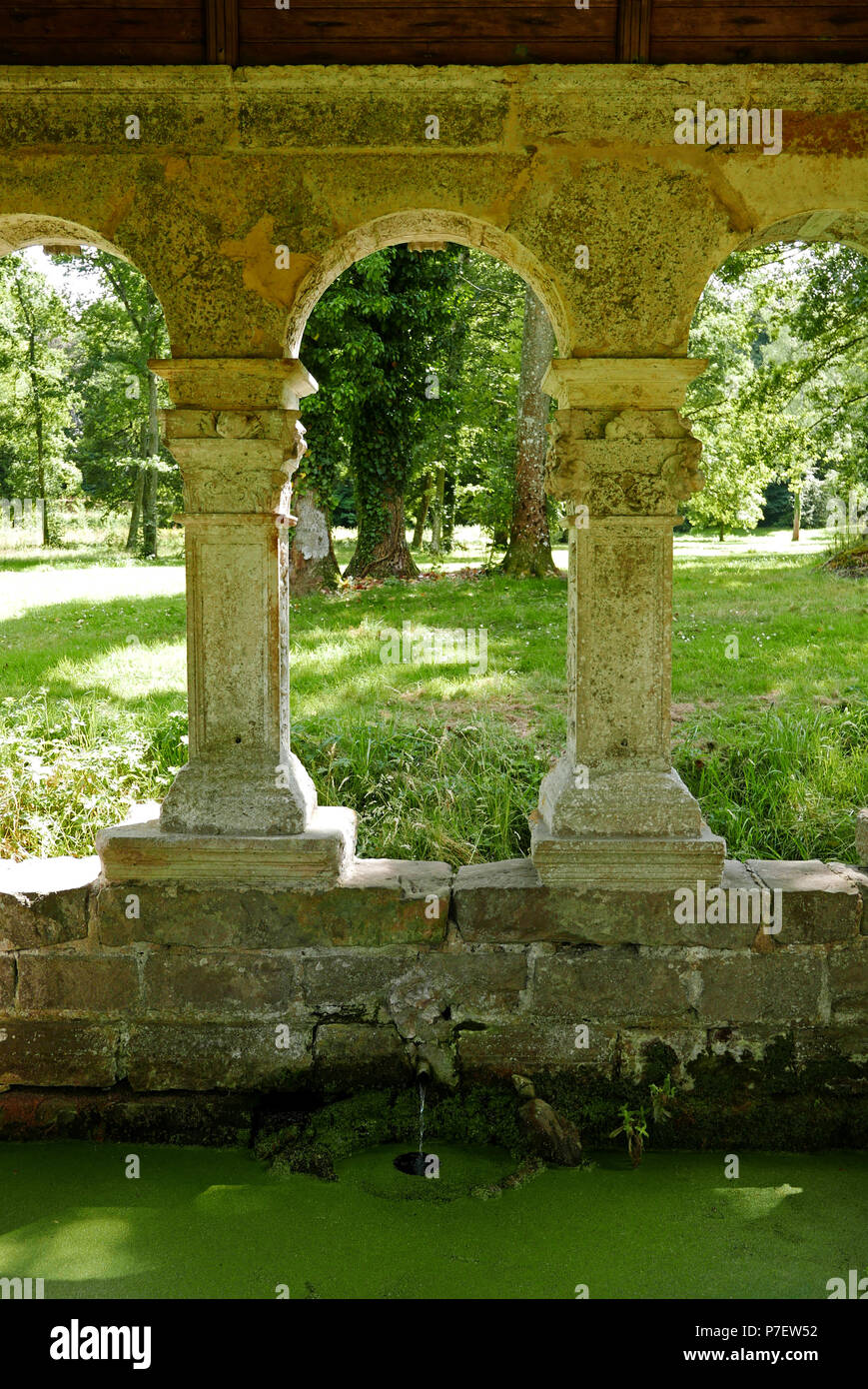 Fonte Saint-Thibault, l'Abbaye des Vaux-de-Cernay, Cernay-la-Ville, Yvelines, Ile-de-France, Francia, Europa Foto Stock