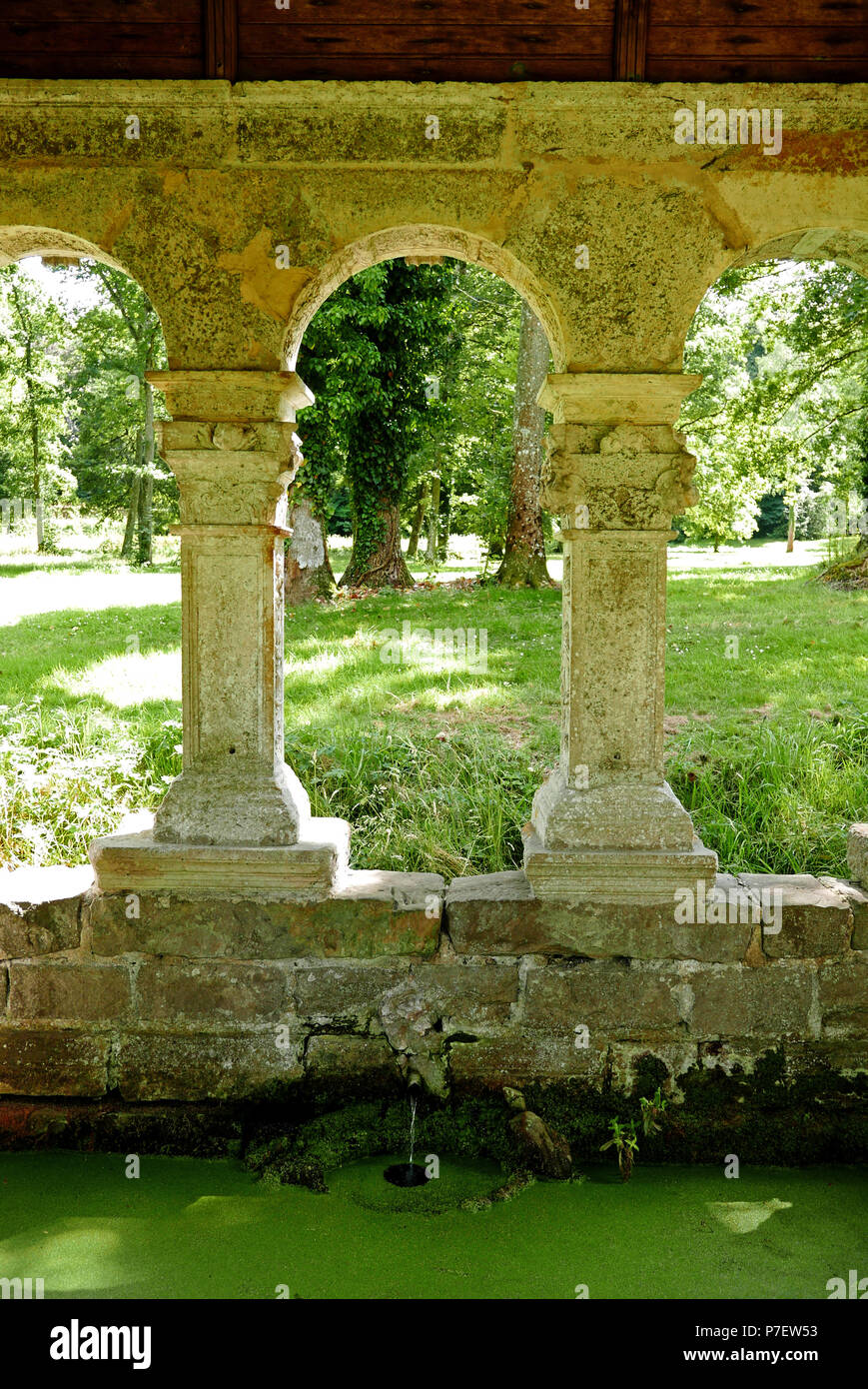 Fonte Saint-Thibault, l'Abbaye des Vaux-de-Cernay, Cernay-la-Ville, Yvelines, Ile-de-France, Francia, Europa Foto Stock