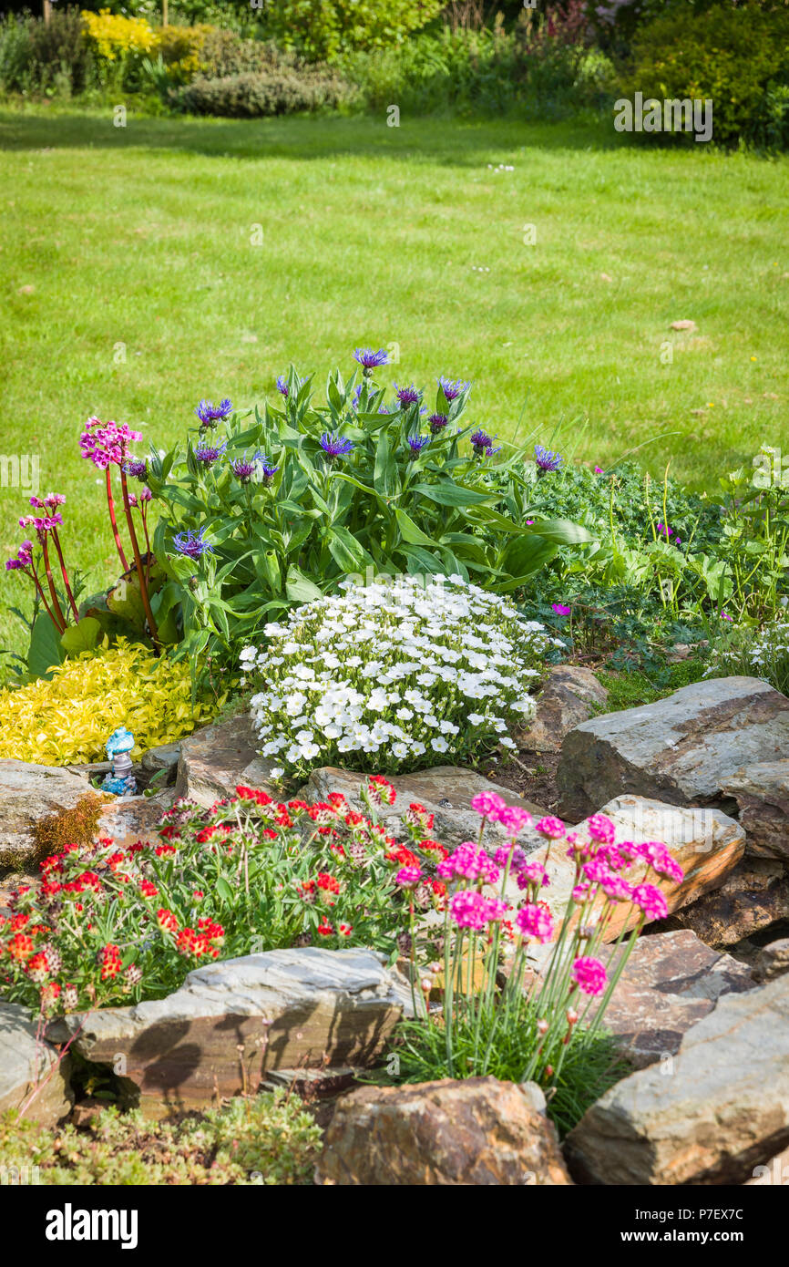 Un piccolo giardino di roccia con fiori di primavera accanto a un prato in un giardino inglese nel Maggio Foto Stock