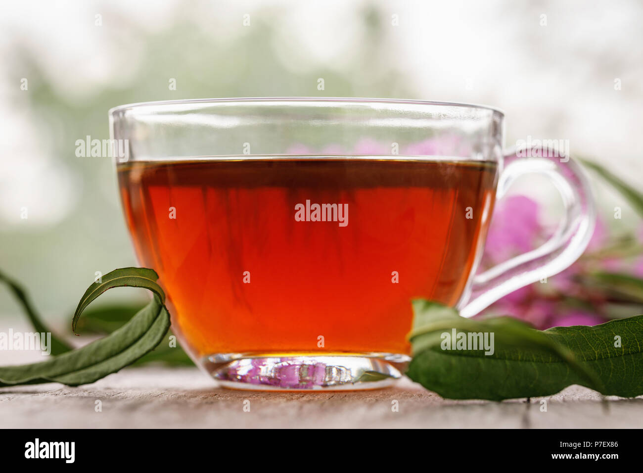 Tradizionale russo drink a base di erbe Ivan-tè in una coppa trasparente close-up su una tavola di legno che possiedono proprietà curative Foto Stock