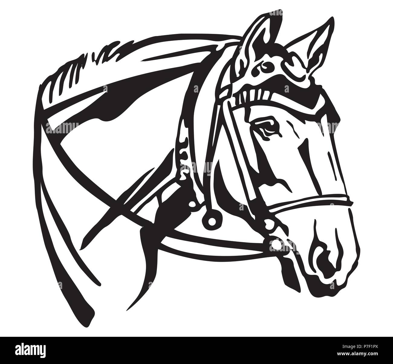 Ritratto decorativo nel profilo del cavallo con bella briglia, vettore isolato illustrazione in colore nero su sfondo bianco. Immagine per design e t Illustrazione Vettoriale