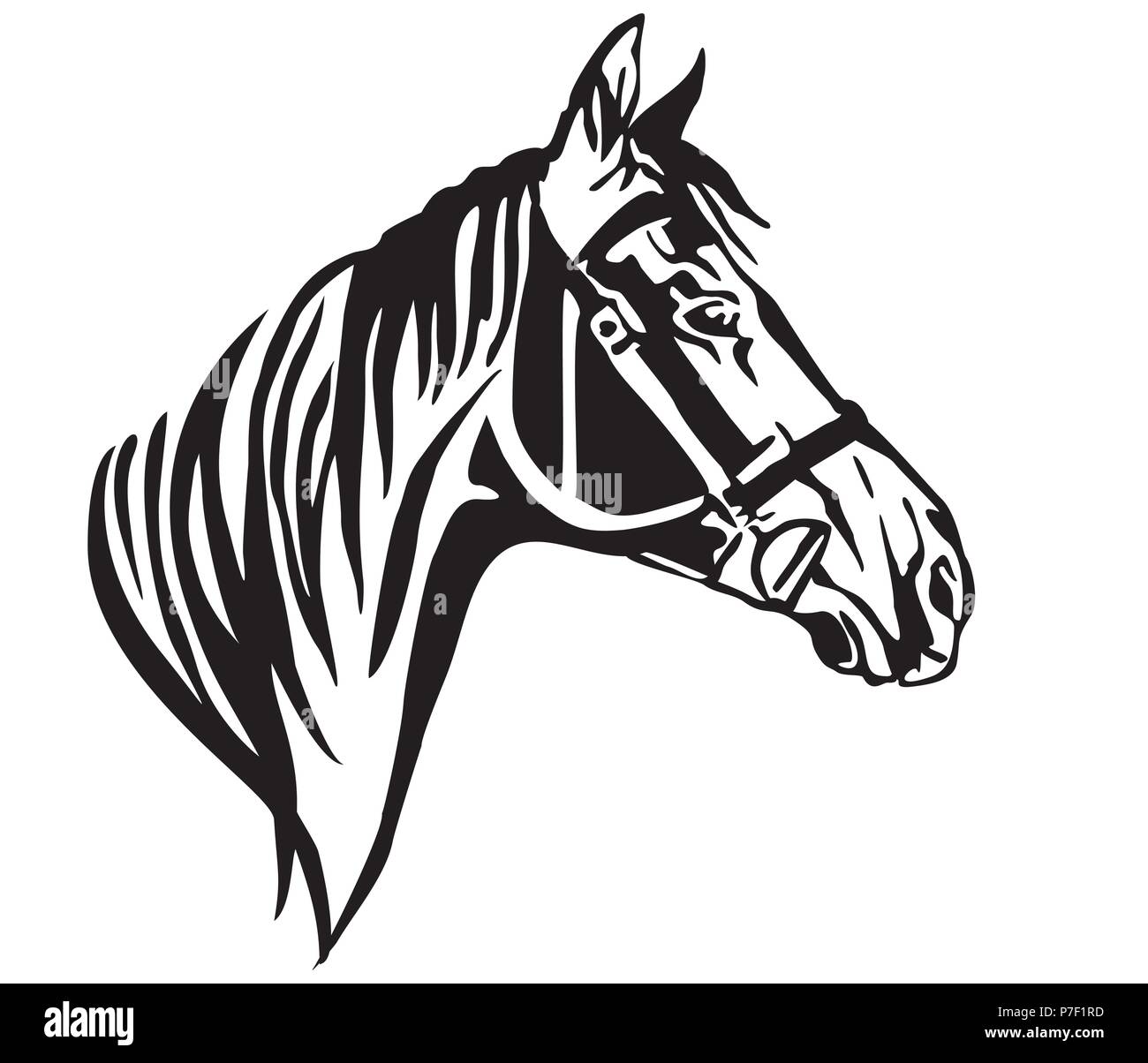 Ritratto decorativo nel profilo del cavallo con la briglia, vettore isolato illustrazione in colore nero su sfondo bianco. Immagine per design e tatuaggio. Illustrazione Vettoriale