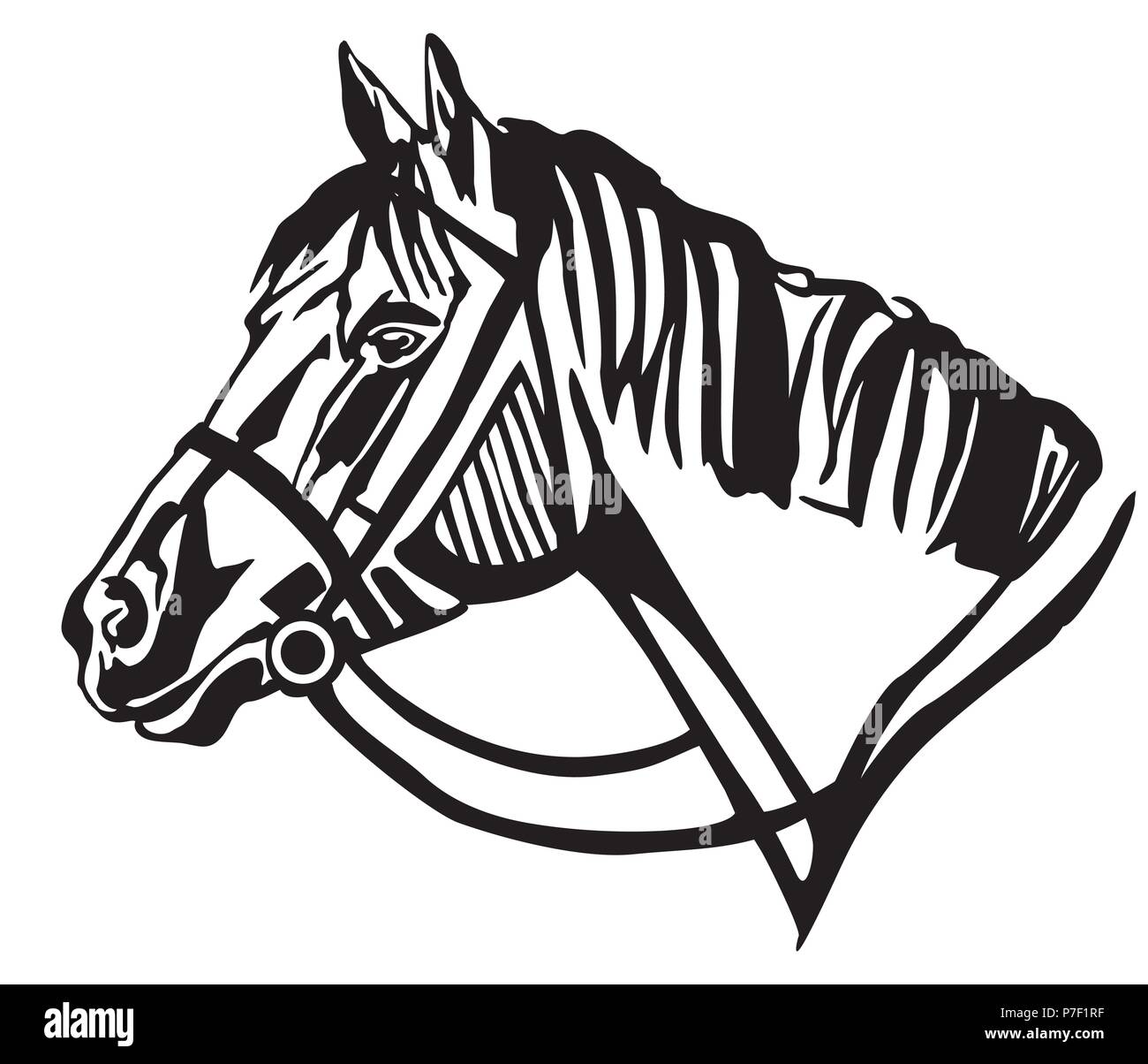 Ritratto decorativo nel profilo del cavallo con la briglia, vettore isolato illustrazione in colore nero su sfondo bianco. Immagine per design e tatuaggio. Illustrazione Vettoriale