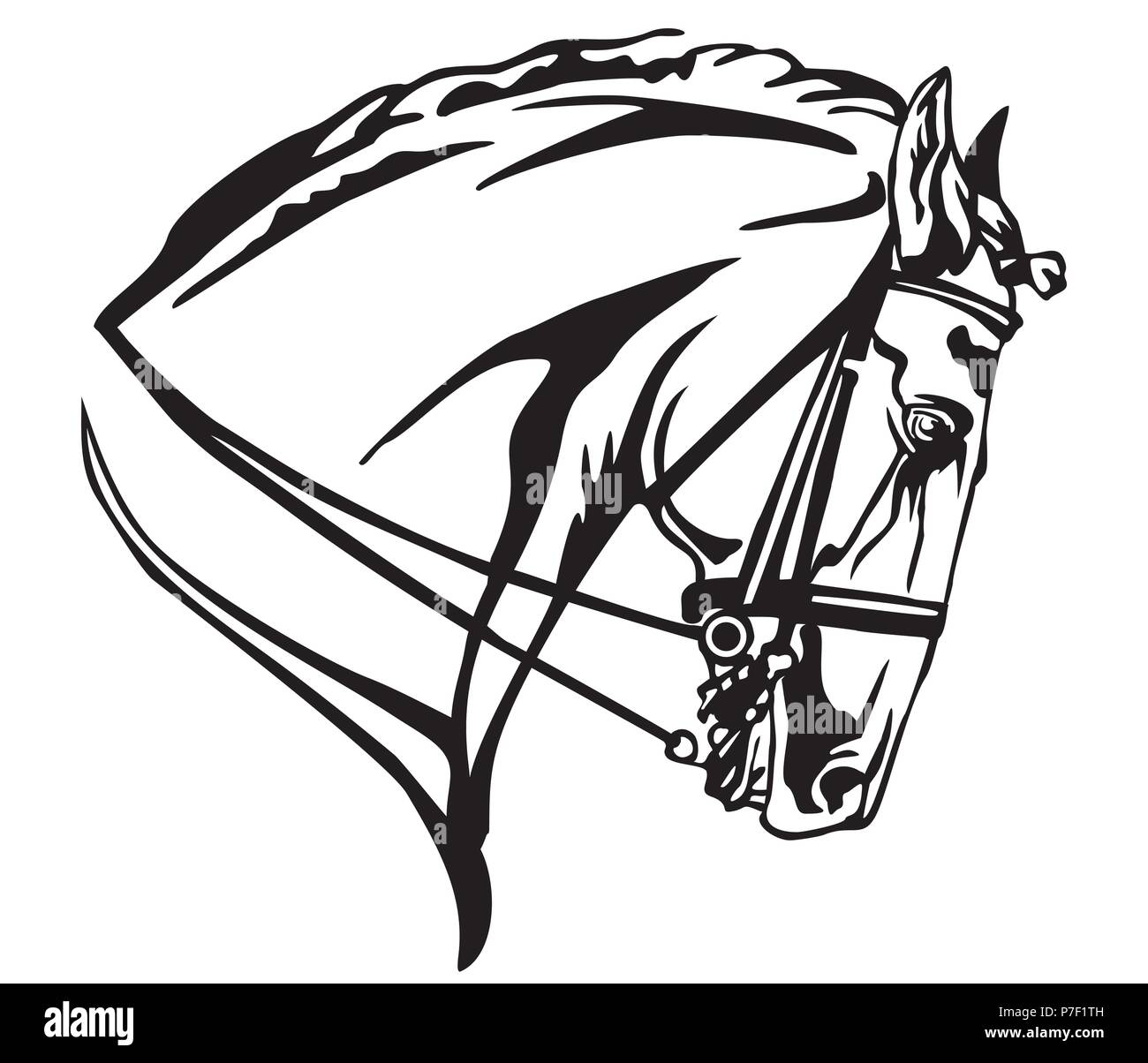 Ritratto decorativo nel profilo del cavallo Andaluso con briglia, vettore isolato illustrazione in colore nero su sfondo bianco. Immagine per design e Illustrazione Vettoriale