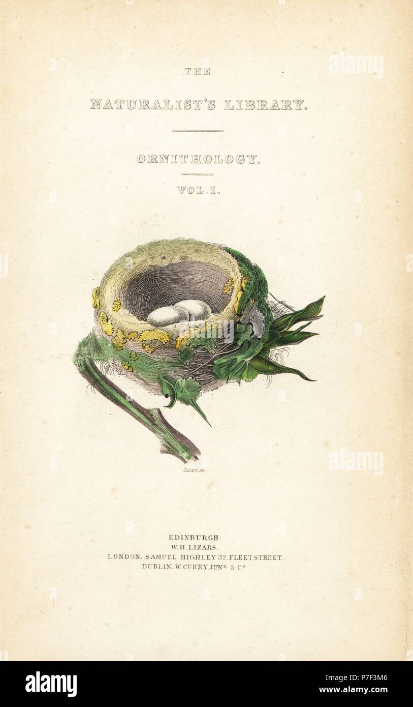 Pagina titolo con vignette del nido e uova. Incisione in acciaio da William Lizars da Sir William Jardine Naturalista dell's Library: Ornitologia: colibrì, Edimburgo, W.H. Lizars, 1834. Foto Stock