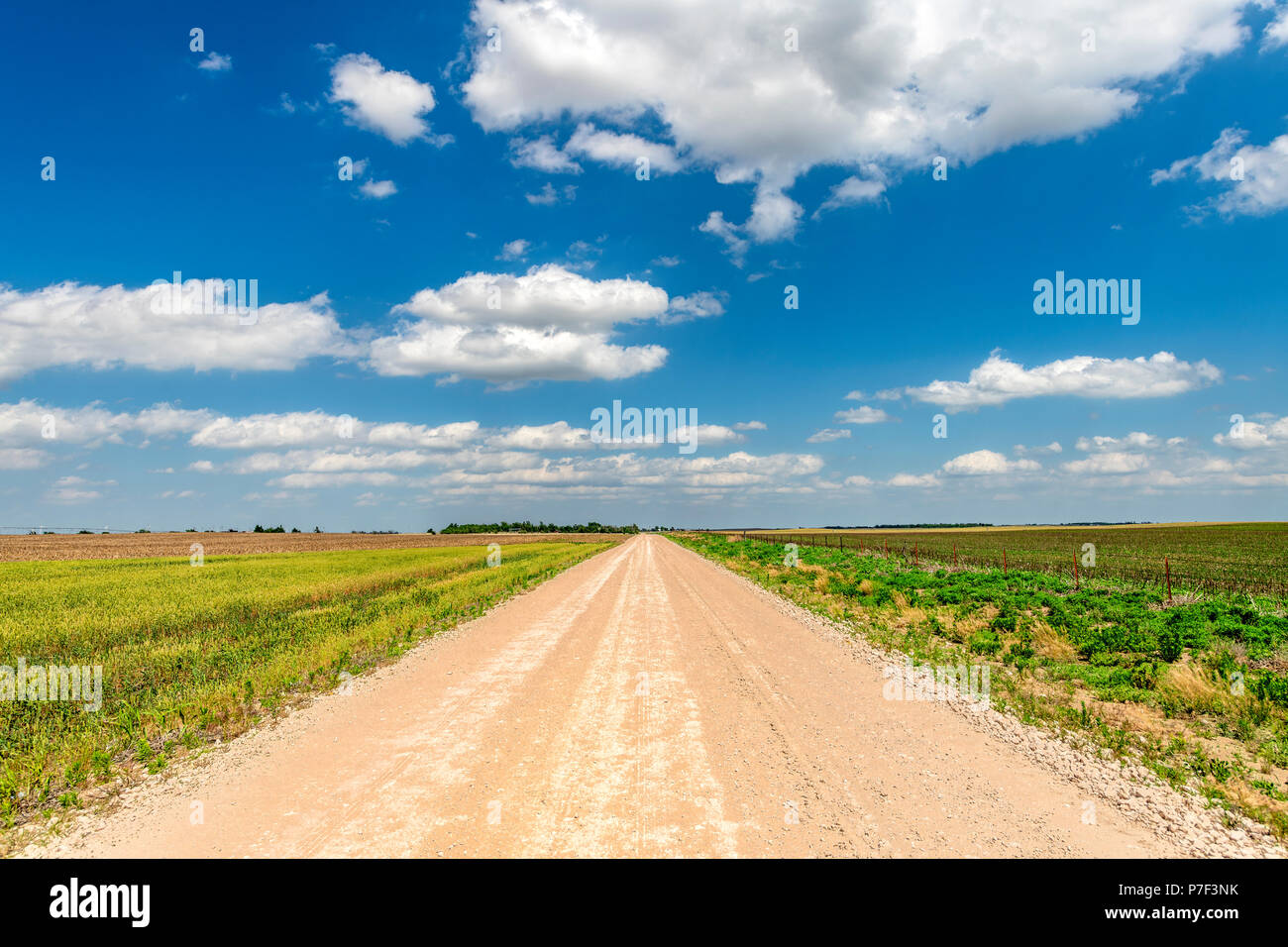 Bianco, puffy nuvole che si muovono su remote su strada sterrata e terre piane in grandi pianure, Oklahoma. Foto Stock