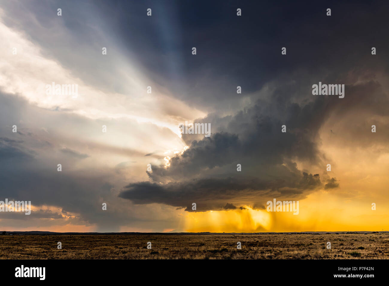 Grande e potente tornadic supercell storm mobile al di sopra delle Grandi Pianure durante il tramonto, impostazione della fase di formazione di tornados attraverso Tornado Al Foto Stock