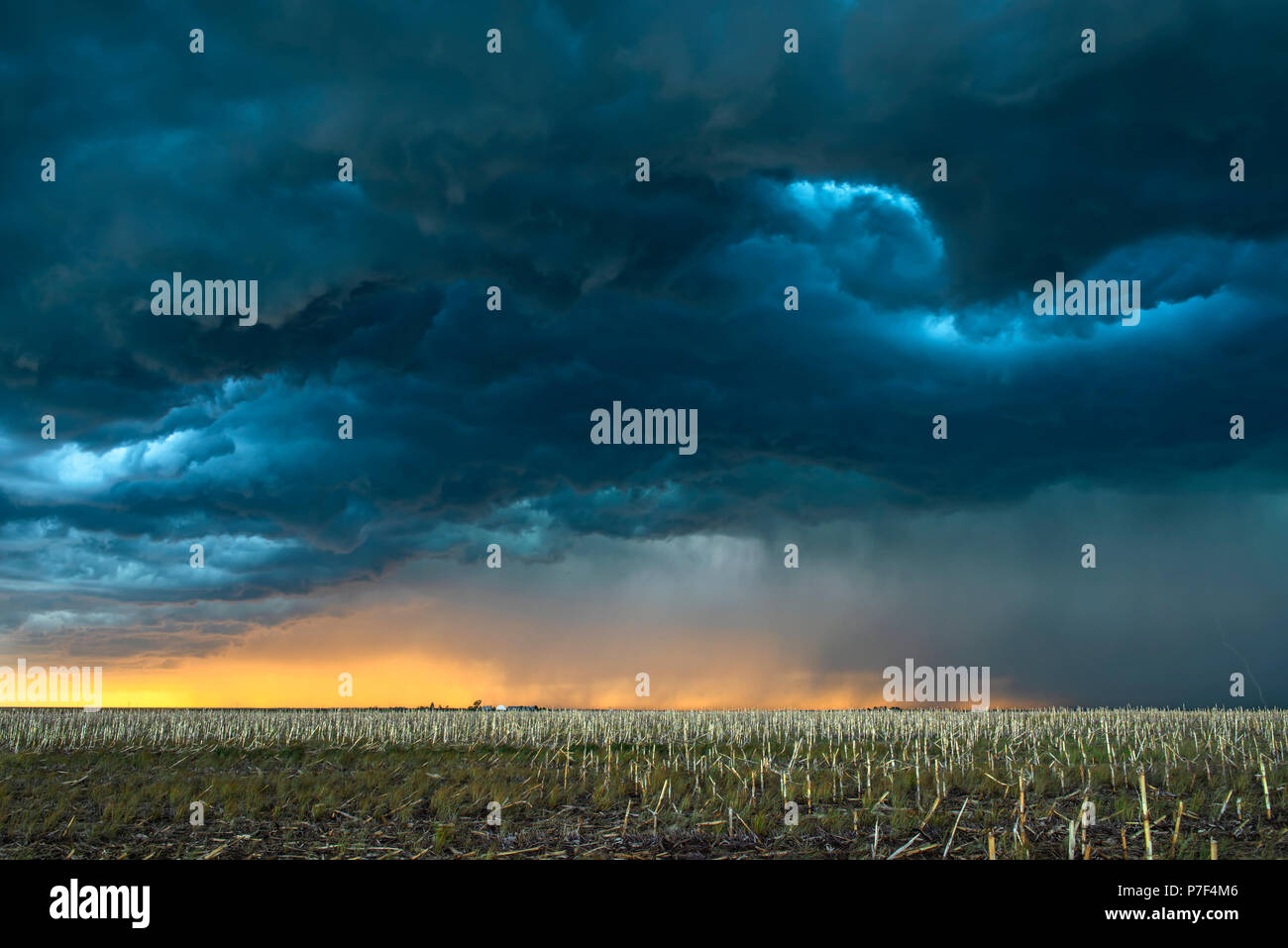 Una tempesta mezocyclone con scuri, nuvole grigie e formare al di sopra della pianura in tornado alley, Oklahoma al tramonto Foto Stock