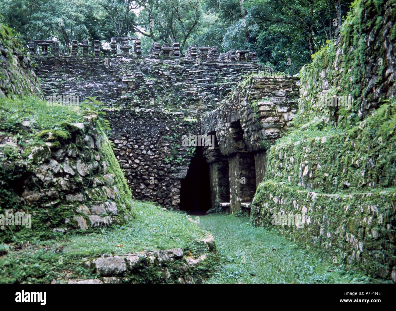 Messico. Yaxchilan. Tempio di labirinto. Tardo periodo classico. Foto Stock