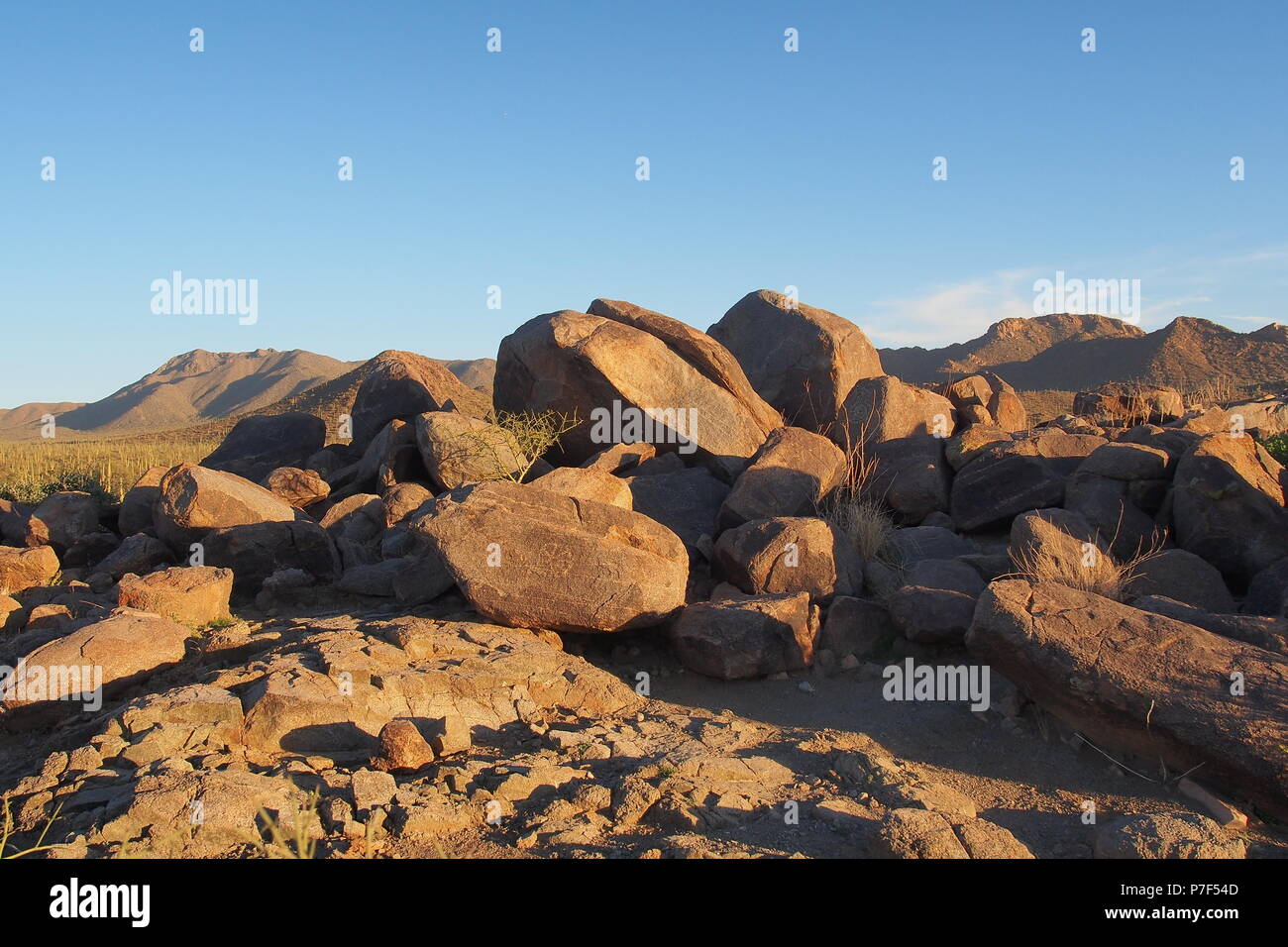 Rocce con incisioni rupestri Hohokam in cima al colle di segnale nel Parco nazionale del Saguaro vicino a Tucson, Arizona, Stati Uniti. Foto Stock