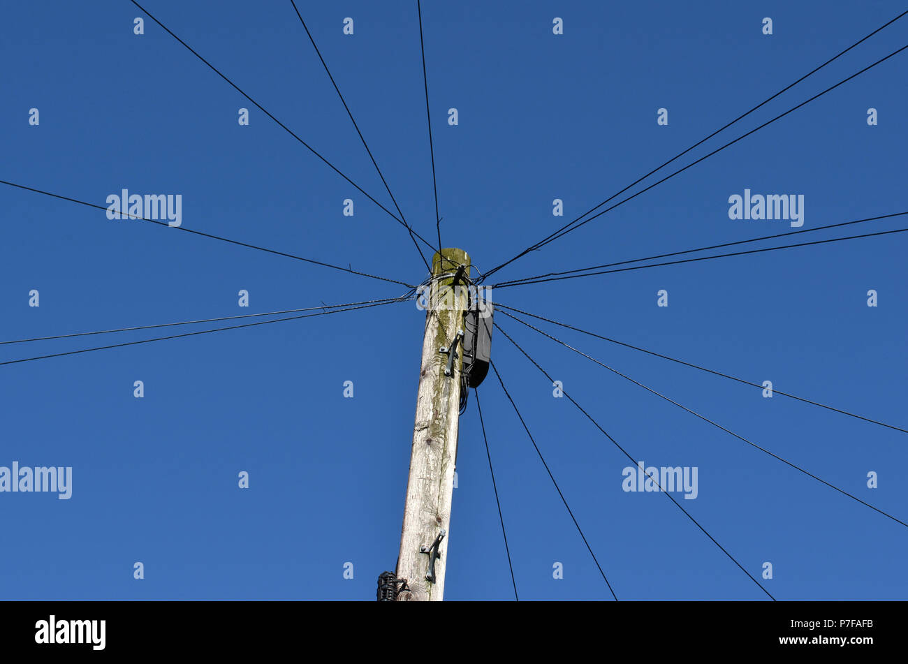 Cavi telefonici su un palo - old school communications Foto Stock