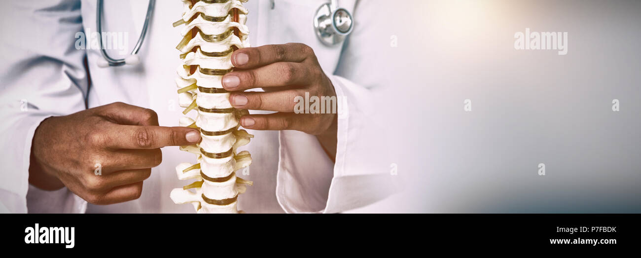 Medico rivolto un dorso anatomico Foto Stock