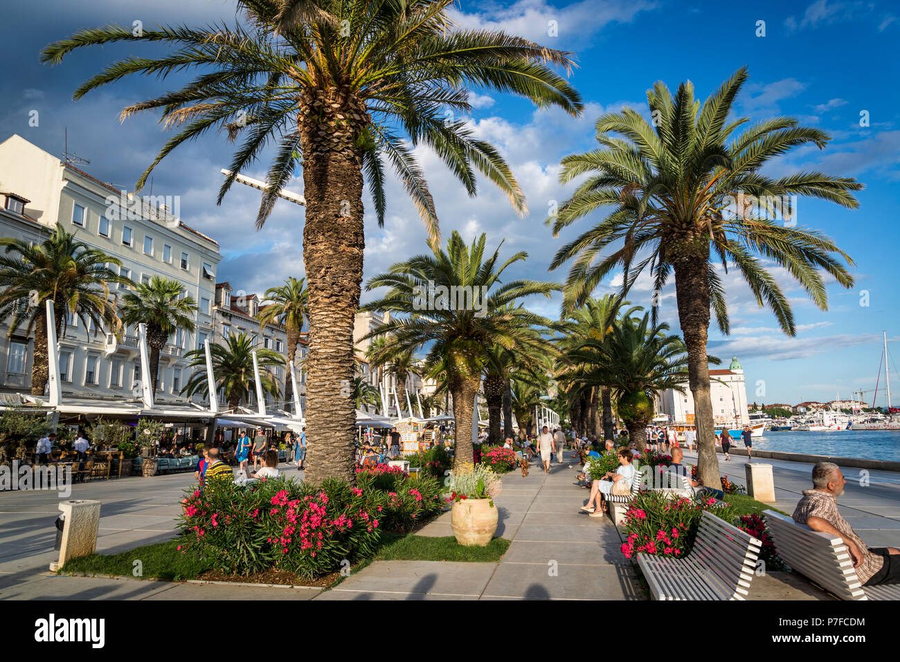 Riva, una passeggiata sul lungomare fiancheggiata da palme e caffetterie e ristoranti, Split, Croazia Foto Stock