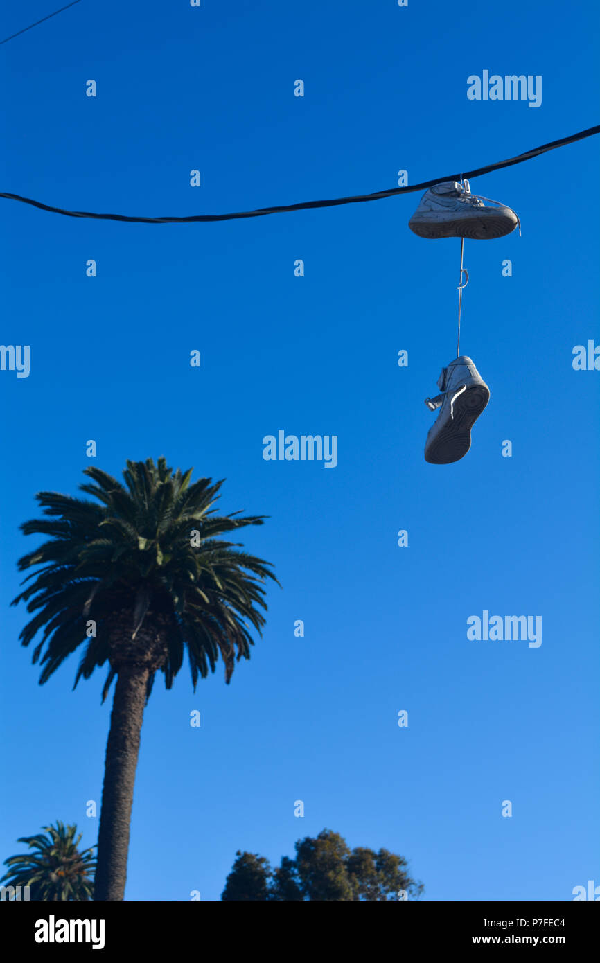 Devianza: Bianco sport fashion alta cima sneakers appesa a una California del sud linea di potenza con un albero di palma in background su un cielo blu chiaro giorno Foto Stock