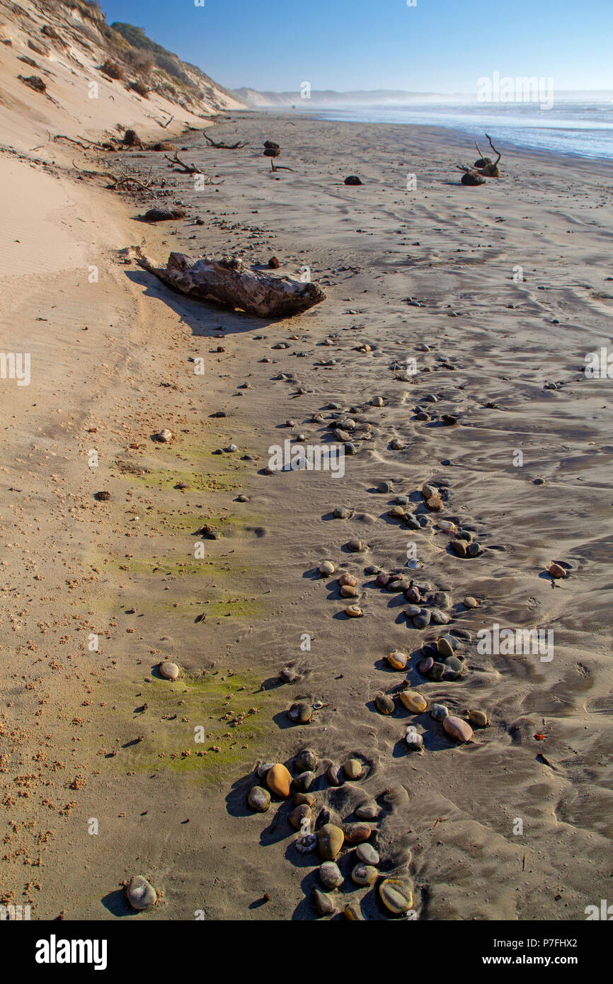 Ocean Beach, la spiaggia più lunga in Tasmania Foto Stock