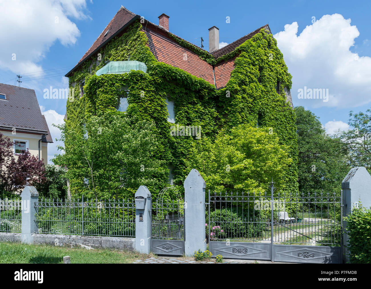 Villa Antica, cresciuto con vino selvatico, vergine di vite (Parthenocissus), Nördlingen, Baviera, Germania Foto Stock
