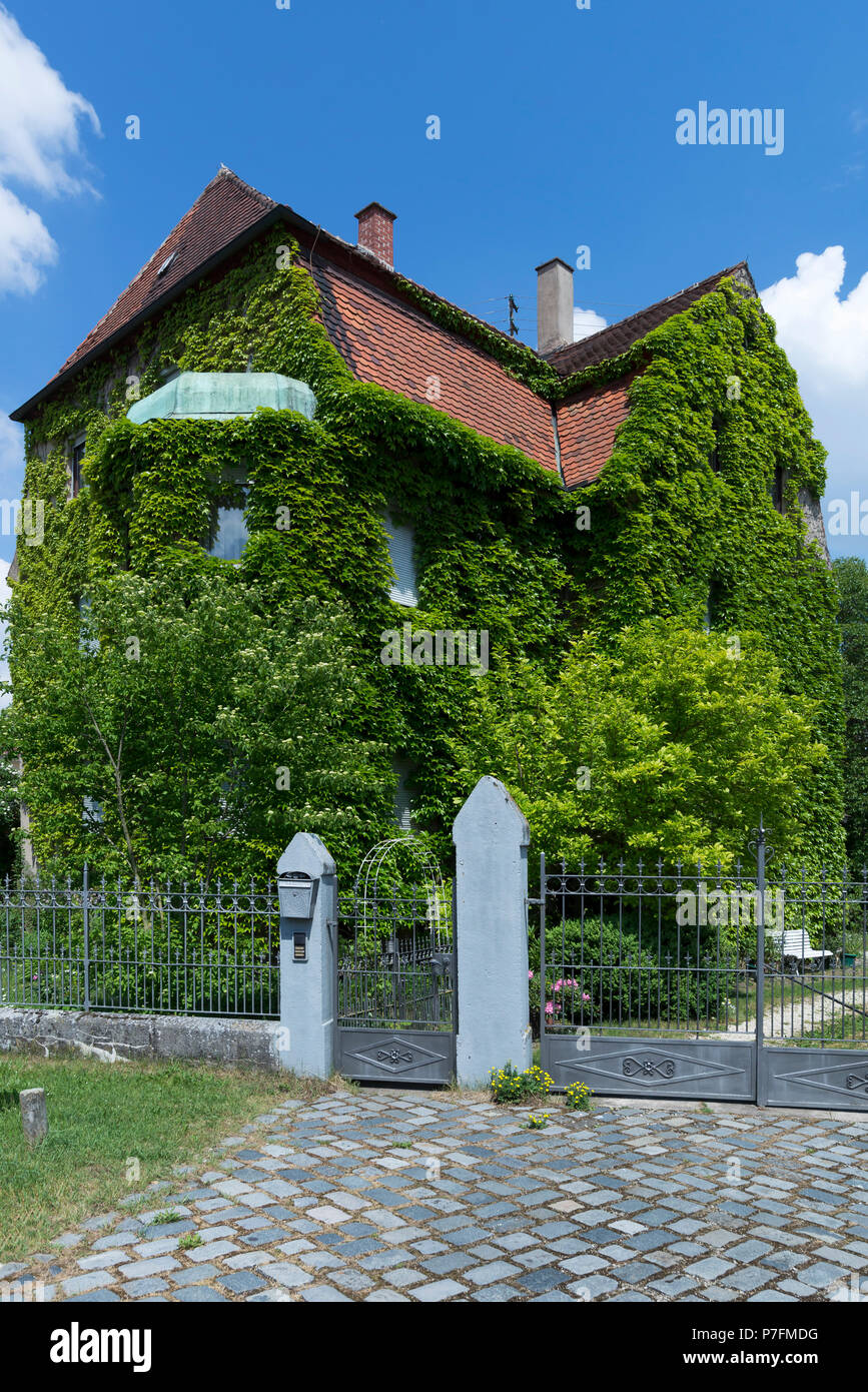 Villa Antica, ricoperta con vino selvatico, vergine di vite (Parthenocissus), Nördlingen, Baviera, Germania Foto Stock