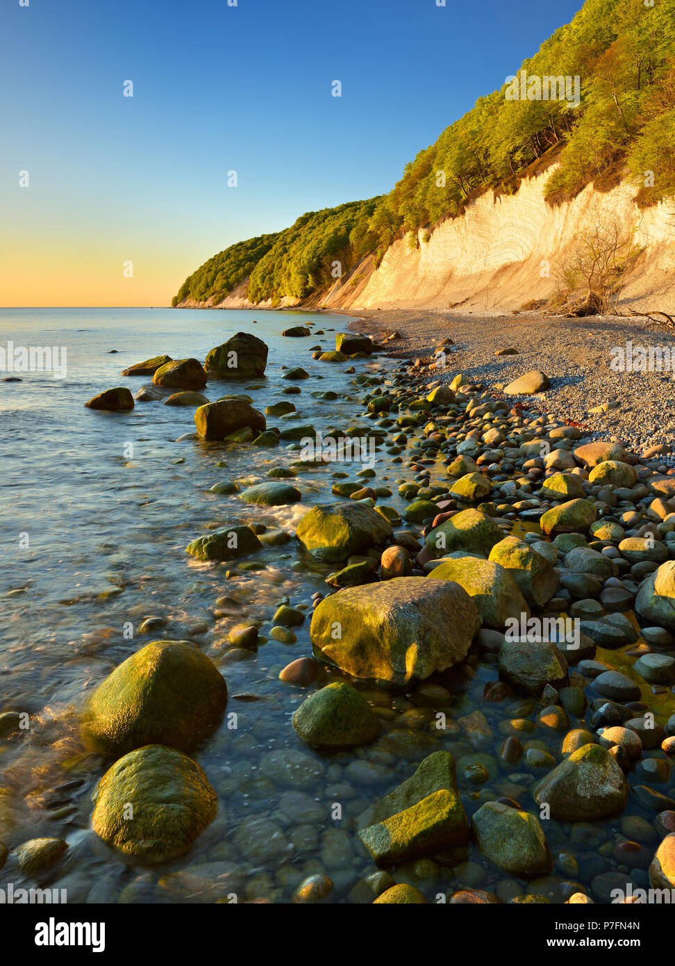 Alba sul Mar Baltico, chalk rocks nella luce del mattino, massi e ciottoli sulla riva, Jasmund National Park Foto Stock