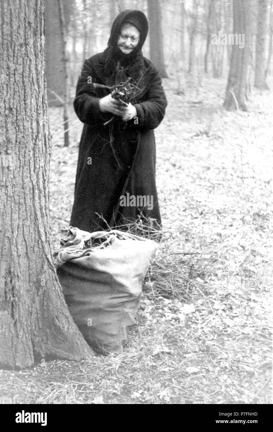 La donna la raccolta di legna da ardere nella foresta, luogo sconosciuto, ca. 1945 Foto Stock