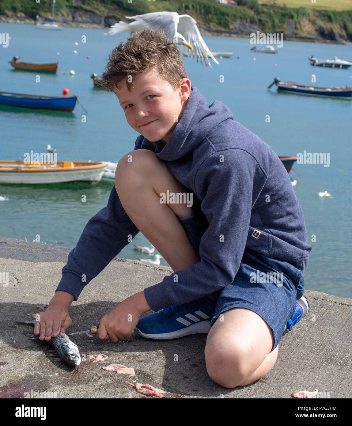 Castletownshend, West Cork, Irlanda. 6 Luglio, 2018. L'onda di calore continua nella parte occidentale della contea di Cork e il locale sgombro viaggi di pesca per i vacanzieri stanno facendo la maggior parte di esso. Stephen Kearney siamo appena tornati da una pesca dello sgombro viaggio con suo padre, visto qui la sfilettatura la sua cattura per cena. Il ragazzo ha tutti i presupposti per approdare ad una multa pescatore. Le temperature sono impostati per rimangono elevate per il resto della settimana. Credito: aphperspective/Alamy Live News Foto Stock