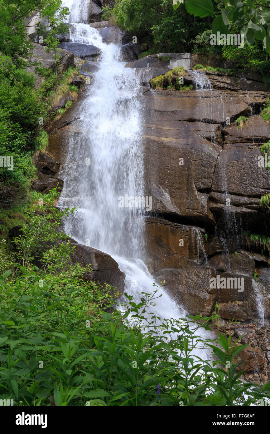 Cascata in una foresta Foto Stock