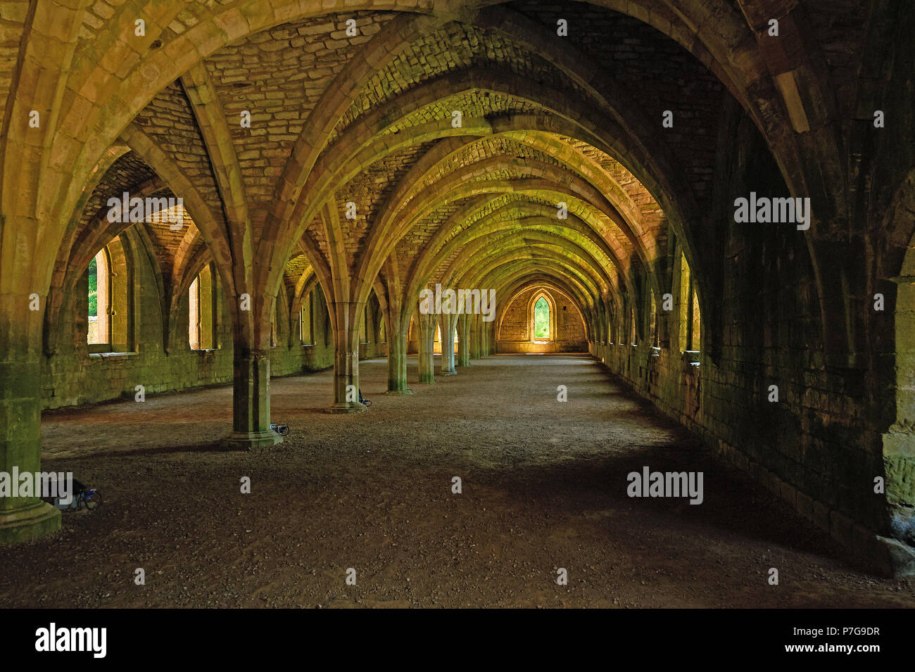 Il Cellarium in Fountains Abbey, North Yorkshire ha un magnifico soffitto a volta del tetto. L'Abbazia fu distrutta come parte del Re Enrico VIII la Riformazione. Foto Stock