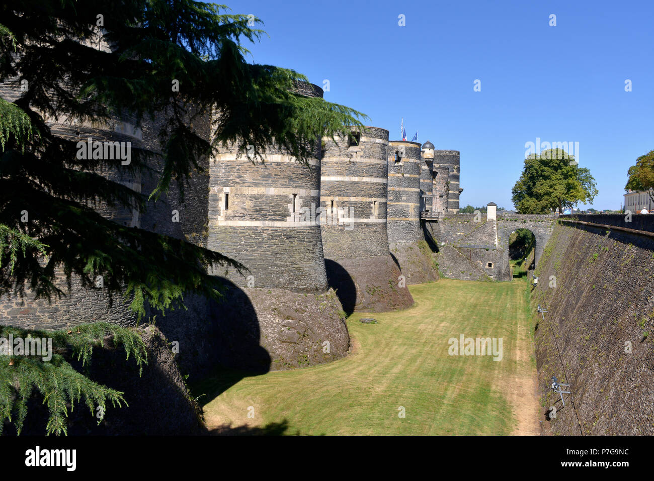 Torri e fossato del castello di Angers e il giardino nel Maine-et-Loire reparto, regione Pays de la Loire, in Francia occidentale circa 300 km (190 miglia) Foto Stock