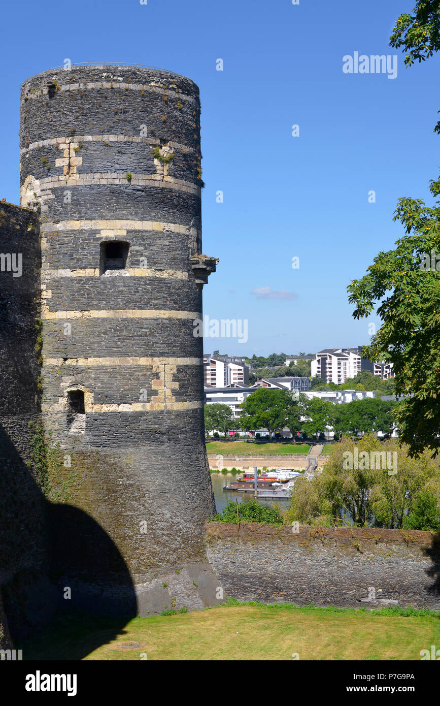 Torre del castello e il porto sul fiume Maine ad Angers, comune nel Maine-et-Loire reparto, regione Pays de la Loire, in Francia occidentale circa 300 km Foto Stock