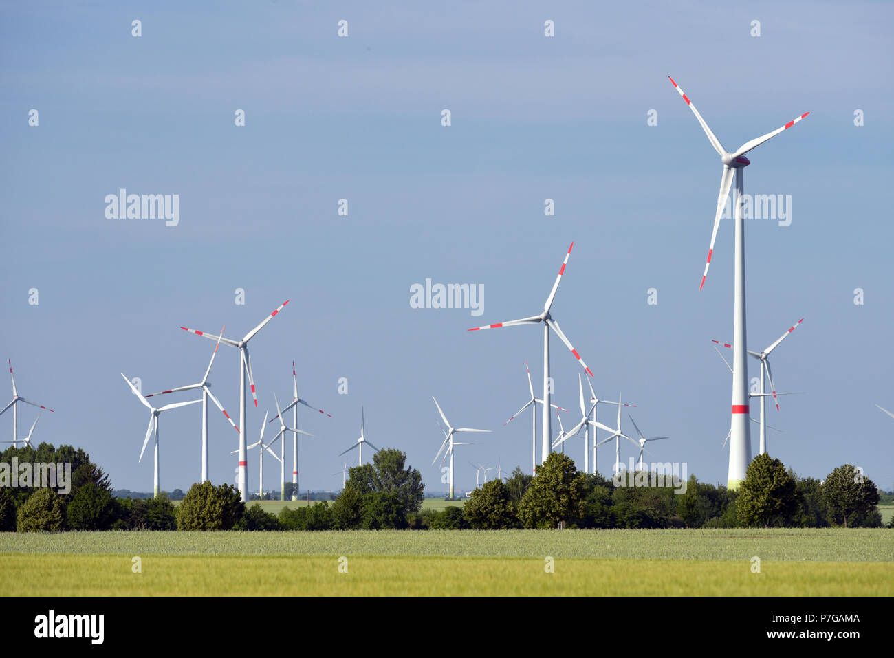 Le energie rinnovabili - la generazione di energia elettrica con le turbine eoliche in una fattoria eolica Foto Stock
