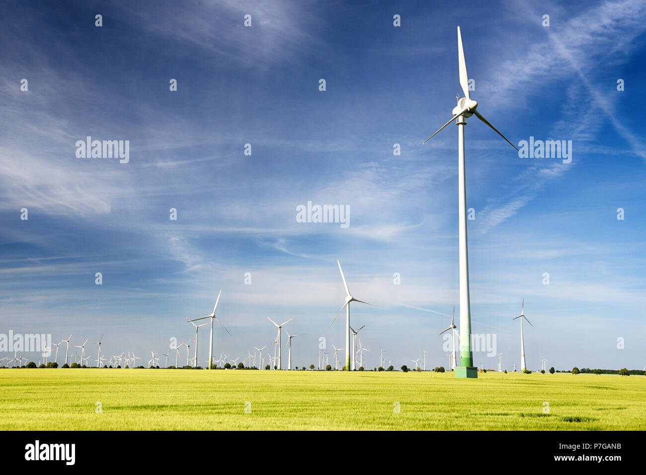 Le energie rinnovabili - la generazione di energia elettrica con le turbine eoliche in una fattoria eolica Foto Stock