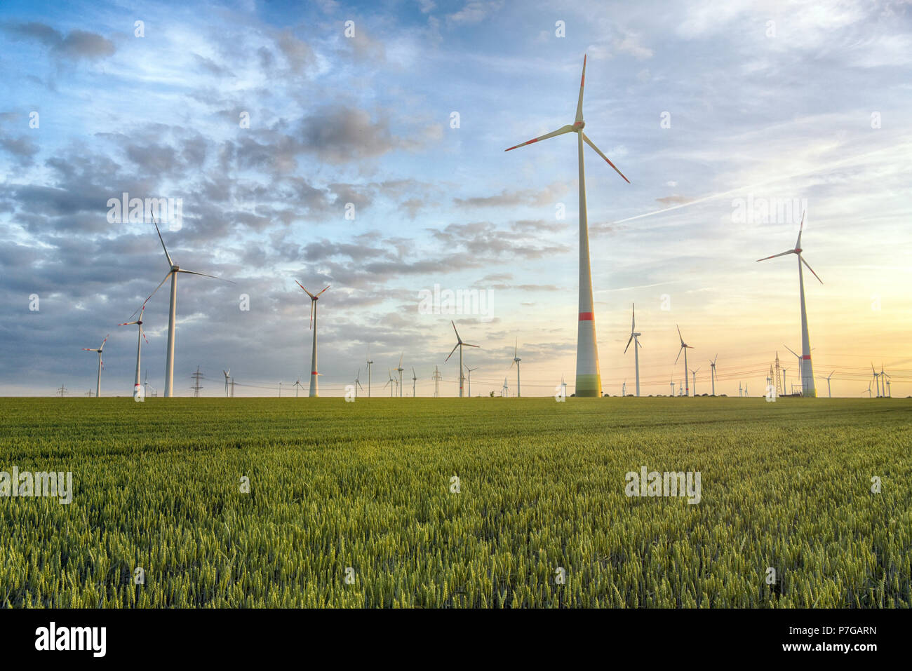 Le energie rinnovabili - la generazione di energia elettrica con le turbine eoliche in una fattoria eolica Foto Stock