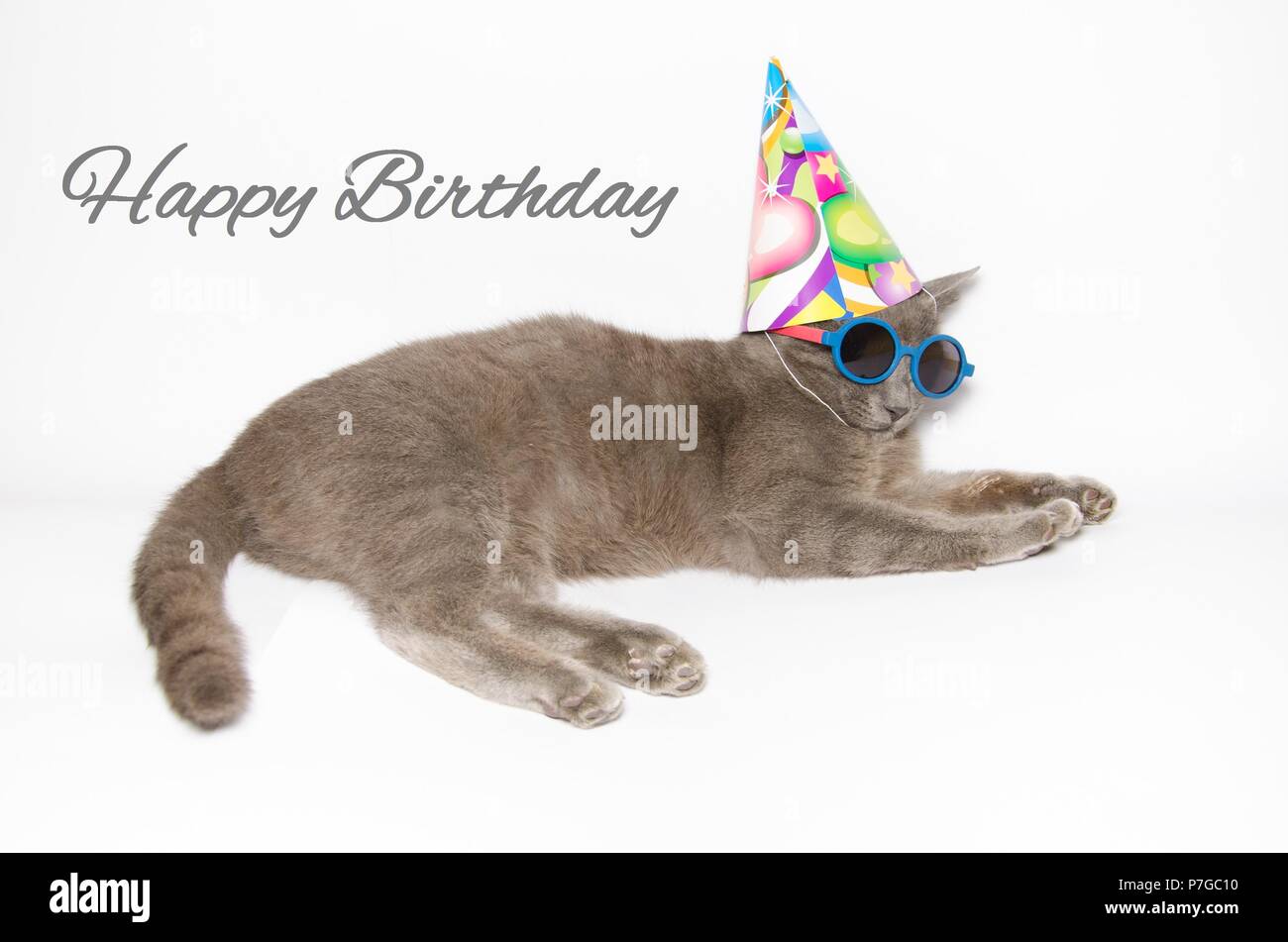 Buon compleanno card con divertenti cat indossando occhiali da sole e cappello di partito Foto Stock