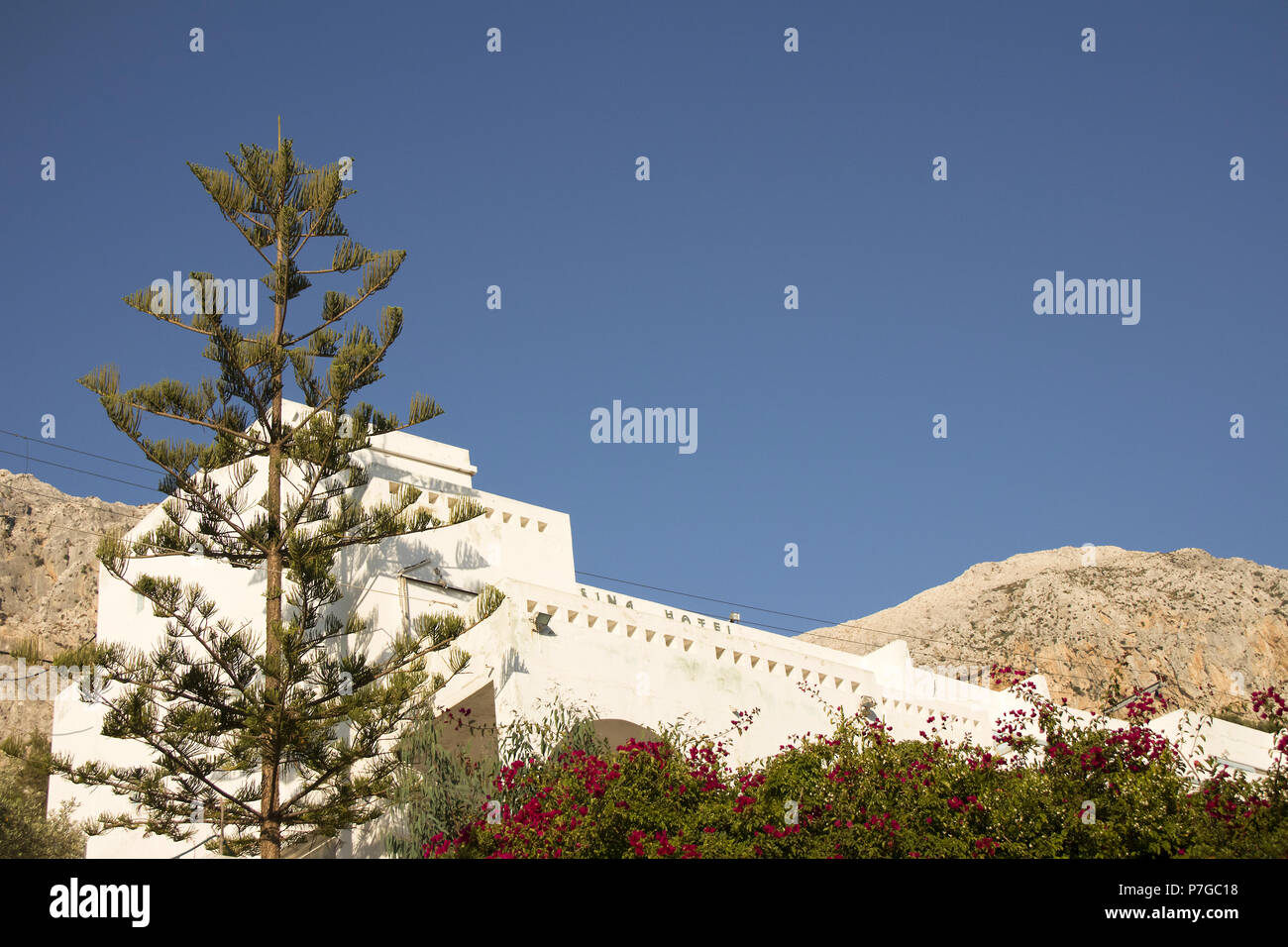 Araucaria heterophylla e abbandonati hotel modernista in Mirties, Kalymnos, Grecia Foto Stock