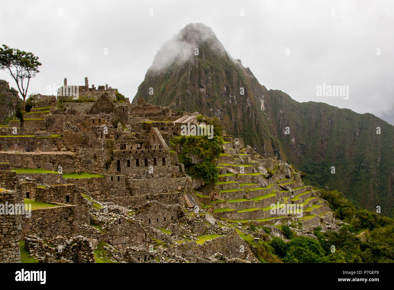 Bellissime foto di sfondo di Machu Picchu rovine e terrazze di agricoltura di montagna con la nebbia in background. N. persone. Foto Stock