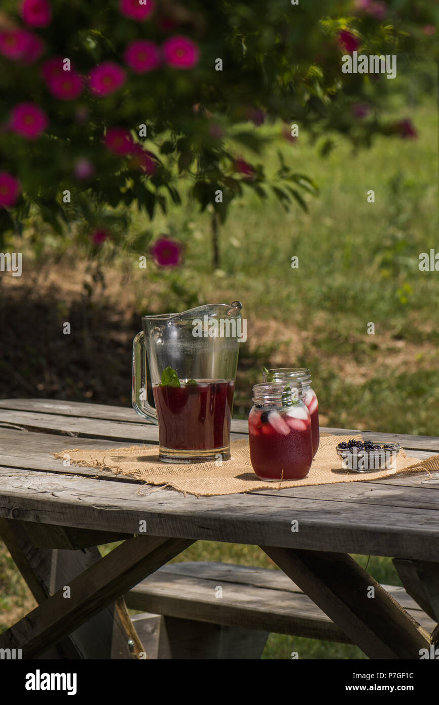 Tavolo da picnic con brocca e bicchieri di blackberry tè freddo Foto Stock