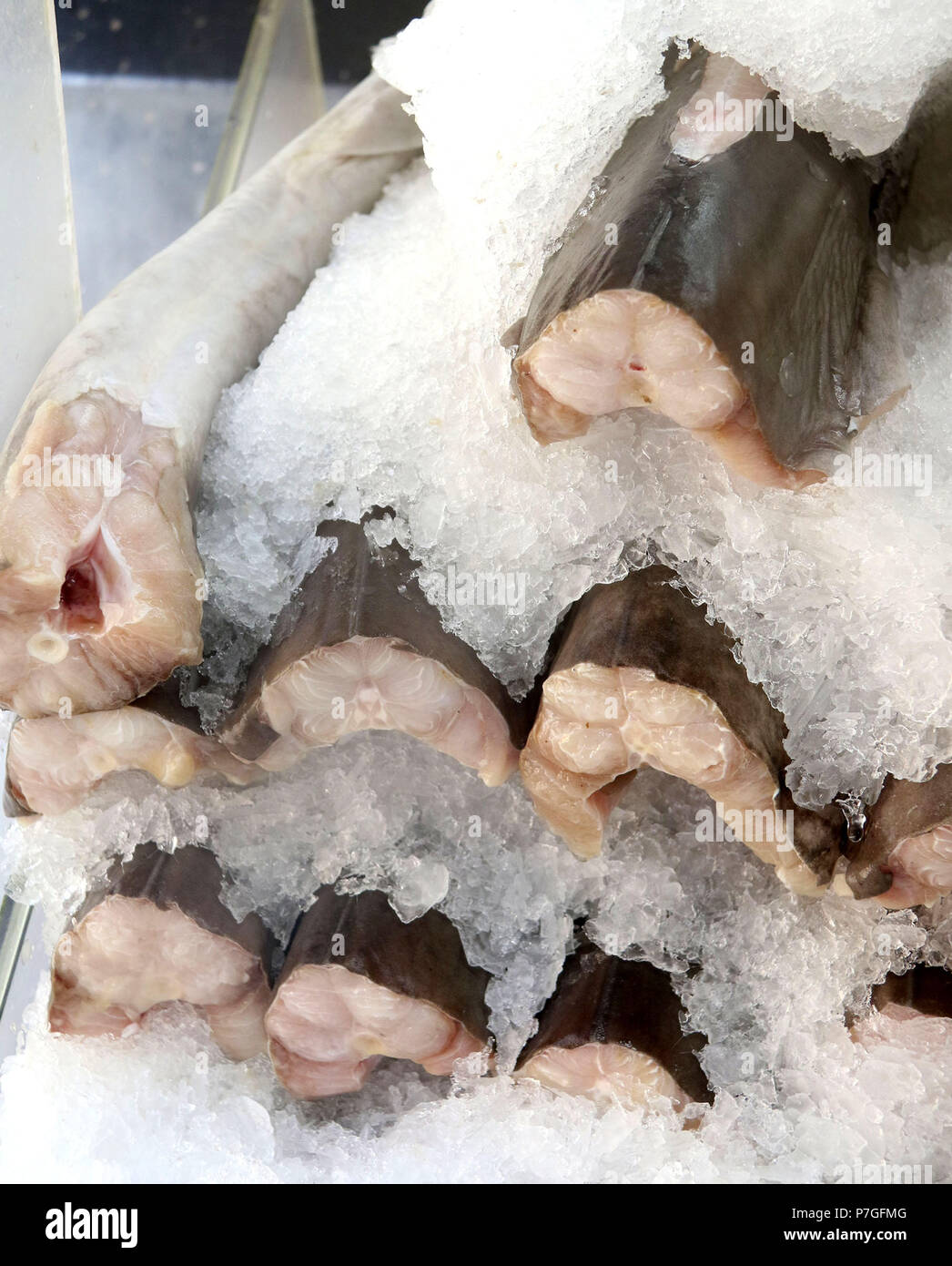 Materie shark pezzi su ghiaccio al mercato del pesce Foto Stock