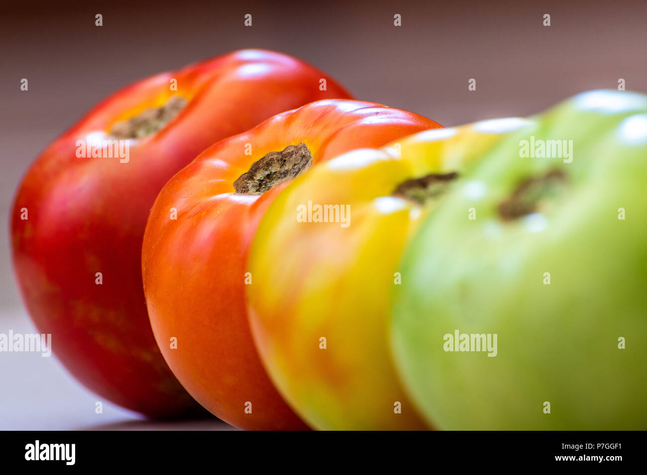 Pomodori a diversi stadi di maturazione. Concetto. La messa a fuoco è su luce rosso pomodoro. Gli stadi sono verde e poi girando quindi luce in rosso e poi in rosso. Foto Stock