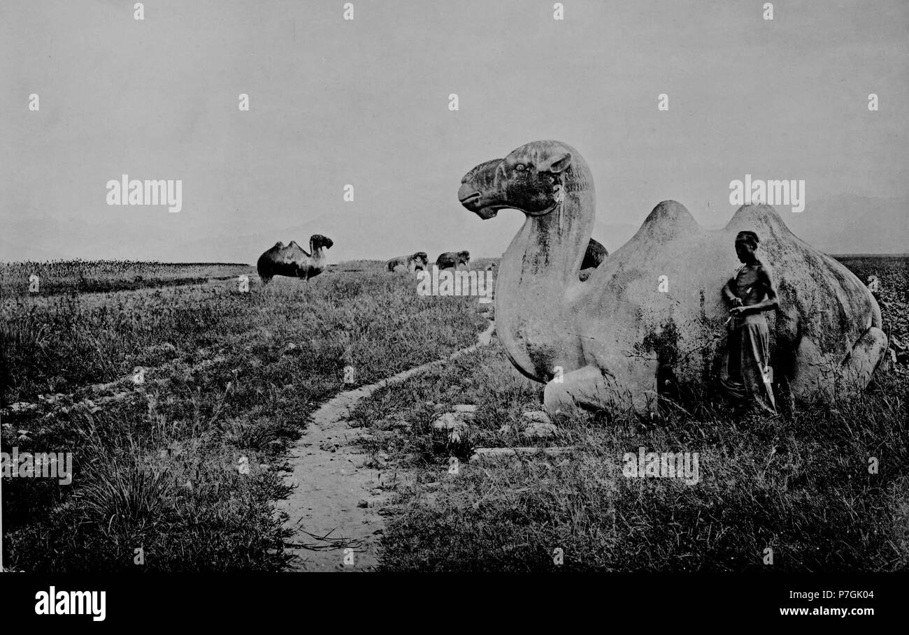 Inglese: John Thomson: le tombe degli Imperatori Ming della Cina stand circa trenta miglia a nord di Pechino, e nel loro design generale assomigliano a quelle di Nanchino, che ho già descritto. Essi sono tuttavia nelle loro dimensioni ancora più imponente che anche la tomba di Hung-woo, il primo sovrano della dinastia. In questa valle di tombe, il quale è supportato da una di forma crescente gamma di colline, avente un raggio di da due a tre miglia, la mausolea di tredici Ming sovrani si trovano. Il primo sepolto qui fu Ching-tsoo (meglio noto come Yung-lo), il terzo sovrano della dinastia, Foto Stock