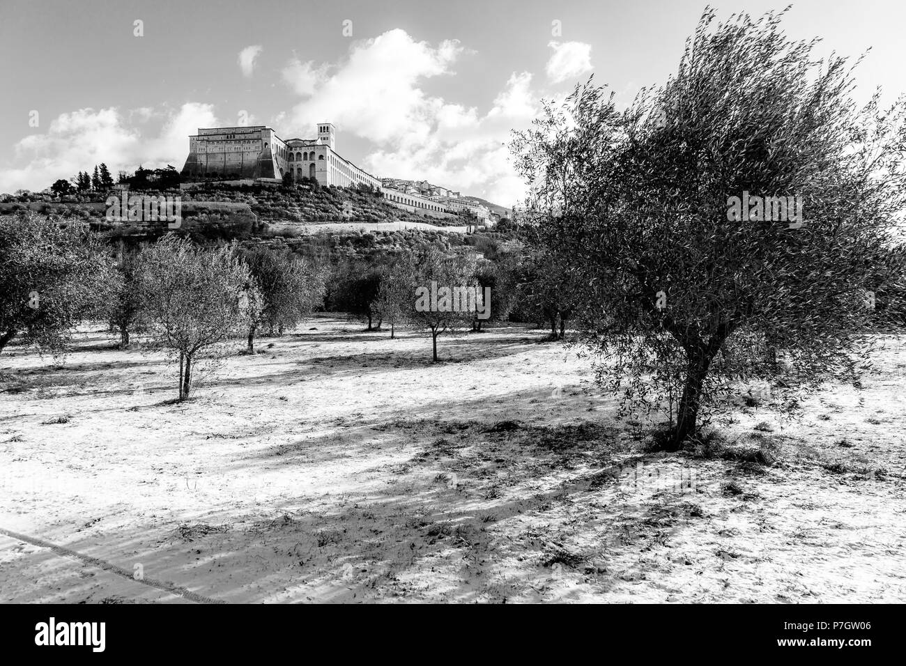 Vista della città di Assisi (Umbria) in inverno, con un campo di olivi coperti dalla neve e dal cielo con nuvole bianche Foto Stock