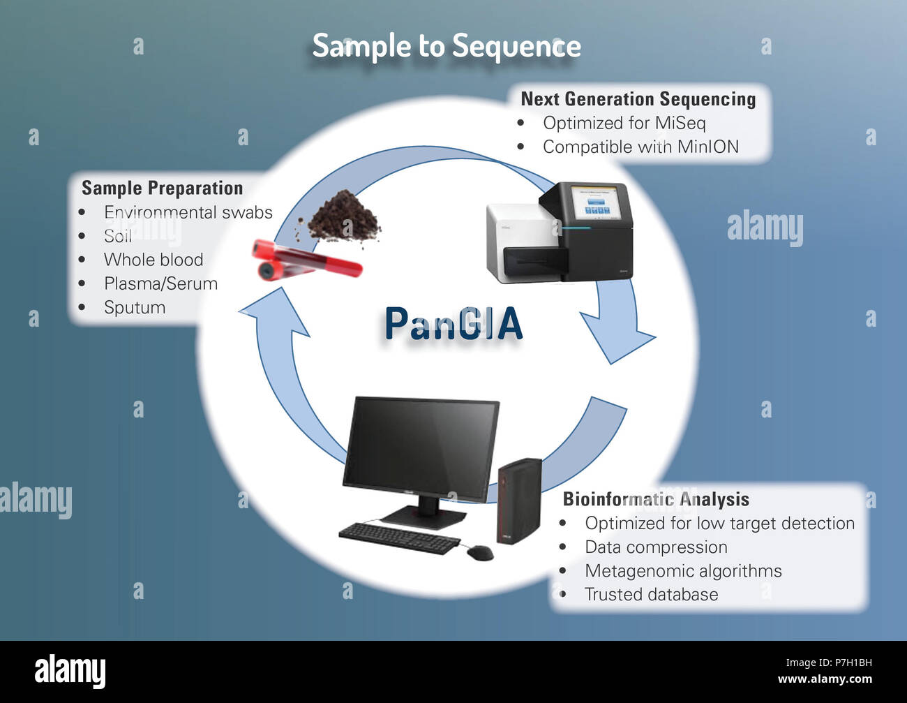 Campione in sequenza Foto Stock