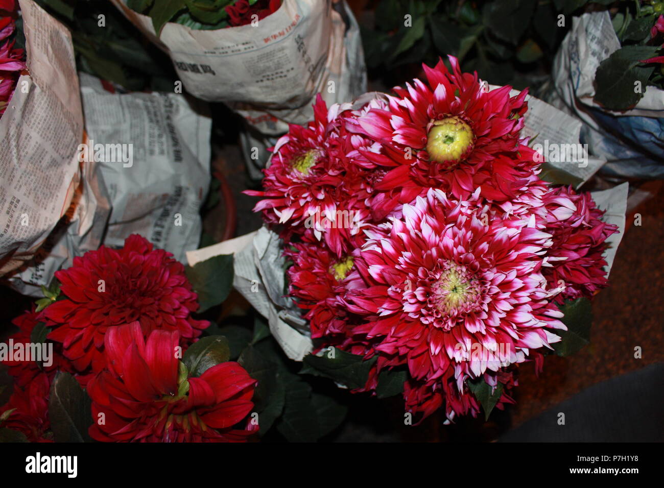 Un mazzetto di garofano in vendita su Mongkok, il mercato dei fiori in Hong Kong, pranzo da pochi pezzi di giornale. Foto Stock