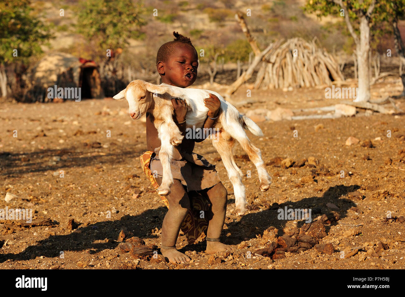 Piccolo Ragazzo Himba portando una capra, Kunene distretto, Kaokoveld, Namibia Foto Stock